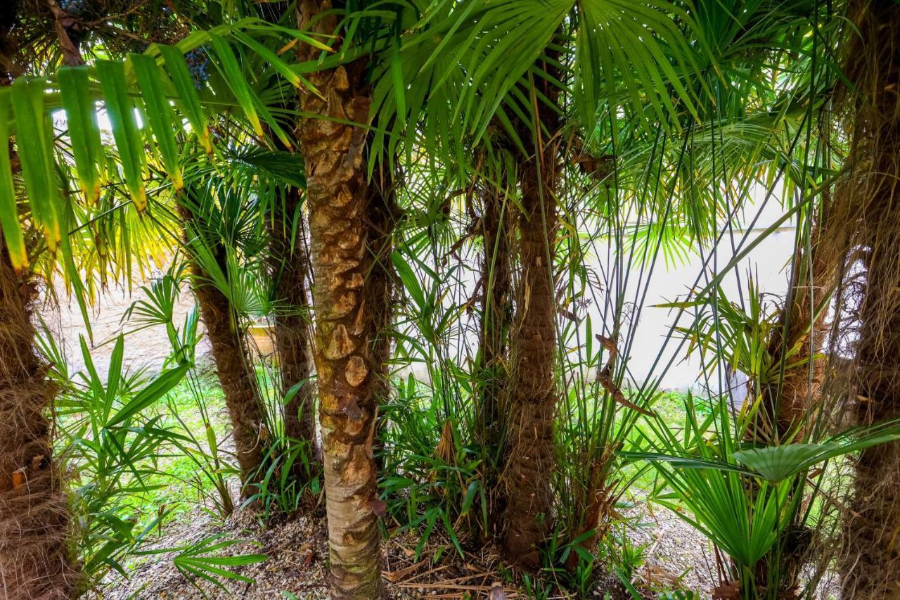 Апартаменты Le Cordon Bleu # Vieux-Cognac # Jardin Экстерьер фото